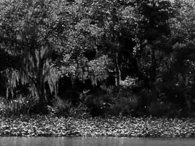 This swamp is a monument to death - Bride of the Monster