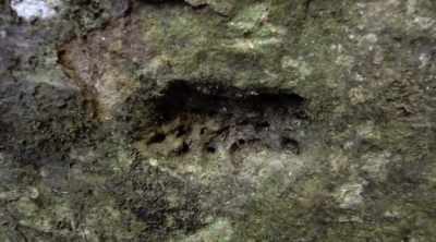 This symbol may indicate
a vertical air shaft - Lost Gold of World War II