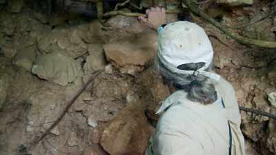 This tall building
would have been decorated - Lost Treasures of the Maya