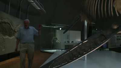 This is Temnodontosaurus, - Attenborough and the Sea Dragon