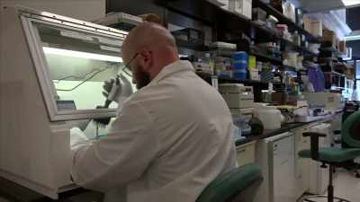 This is the ability to really
create personalized medicine. - Origins: The Journey of Humankind