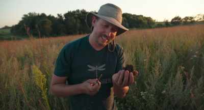 This is the answer
to the bee problem. - The Pollinators