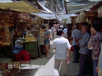 This is the bird market. - The Love Boat