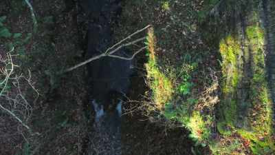 This is the bit where...
That burn down there, - Spooked Scotland