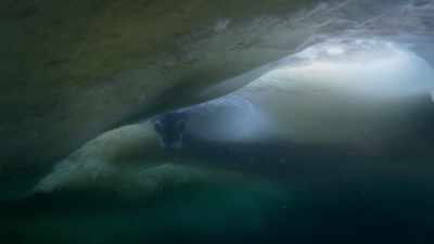 This is the coldest
water on Earth. - Frozen Planet II