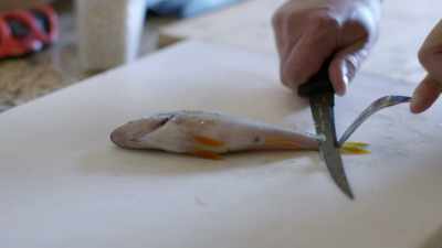 This is the
complicated moment to clean. - Stanley Tucci: Searching for Italy