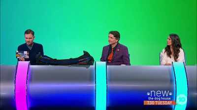This is the cricket bag - Would I Lie to You?