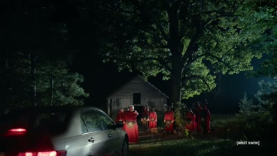 This is the dawn
of a new age of... - Adult Swim Yule Log