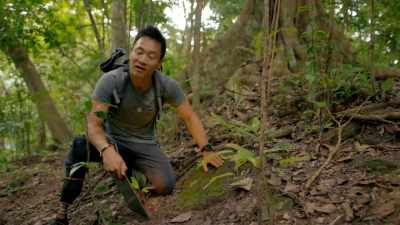 This is the evidence
we're standing on some
structure built by the Maya. - Lost Treasures of the Maya