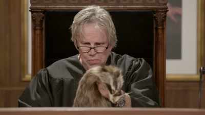This is the face of the animal, - Gary Busey: Pet Judge