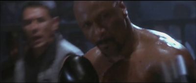 This is the fight for what's right - Undisputed