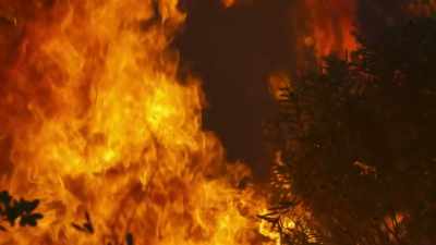 This is the first fire here
for 15 years. - The Green Planet