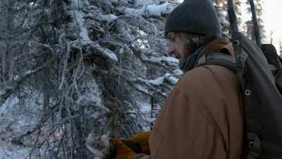 This is the first marten
I'’ve actually ever held. - Life Below Zero: Next Generation