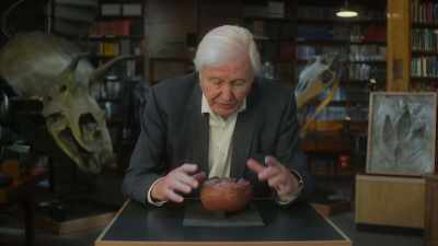 This is the fossilized egg
of a giant dinosaur. - Prehistoric Planet