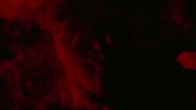 This is the Great Curse. Tell us, Supreme One, - Creation of the Gods I: Kingdom of Storms