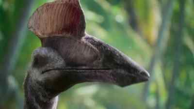 This is the heaviest animal ever to fly, - Prehistoric Planet