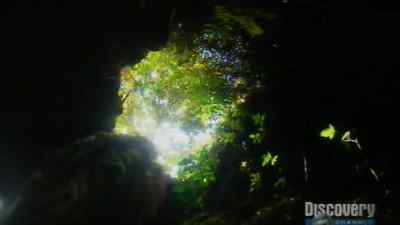 This is the hole where I
when he was down. - Man vs. Wild