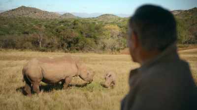 This is the hope.
It's a new era for rhinos. - The Reluctant Traveler with Eugene Levy