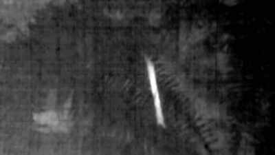  This was the object
 that was thrown at me
 and what I'm realizing is.. - Expedition Bigfoot