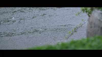 This is the one thing we can't
control, is the weather and the going. - Horsepower
