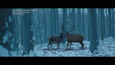 This is the opening sequence - The Story of Film: A New Generation
