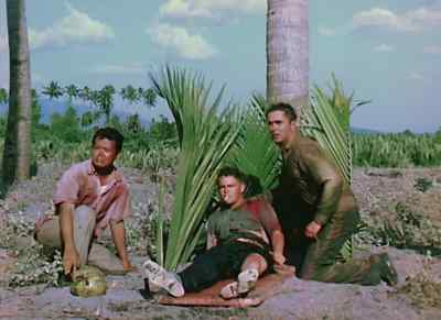 This was the Philippines
in the spring of 1942, - American Guerrilla in the Philippines