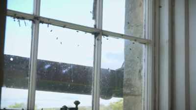 This is the physical representation
of that infestation. - Spooked Scotland