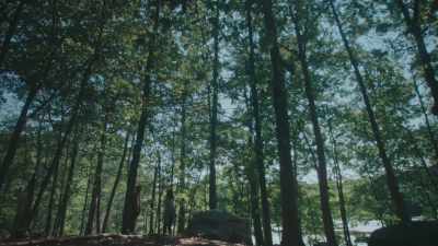 This is the place. - The Woods Are Real