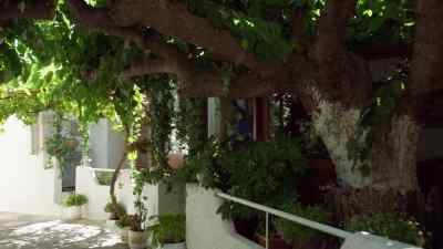 This is the
private line of Nikolas Pappas. - A Greek Recipe for Romance