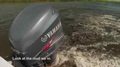 This is the risk.
We took it, T. - Swamp People