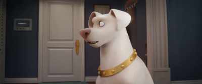 - This is the season finale.
- [INTERCOM RINGING] - DC League of Super Pets