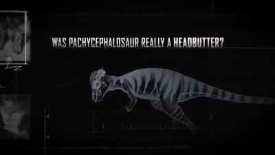 This is the skull of a pachycephalosaur, - Prehistoric Planet