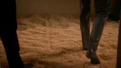 This is the stall
where Cassidy kept her horse. - CSI: Miami