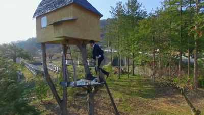 This is the Too High Teahouse. - The Art of Japanese Life