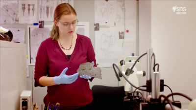 This is the top-most back plate - Curse of the Ancients with Alice Roberts
