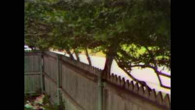 This is the view of Elm Street - JFK: What The Doctors Saw
