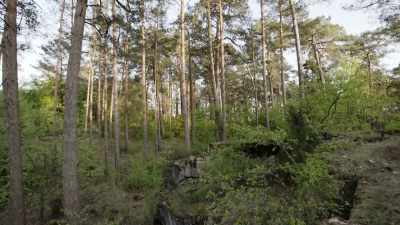 This is the way
that they wanted to - Secret Nazi Ruins