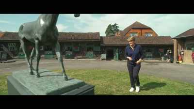 This is the, well, the statue
to the horse who changed everything - Horsepower