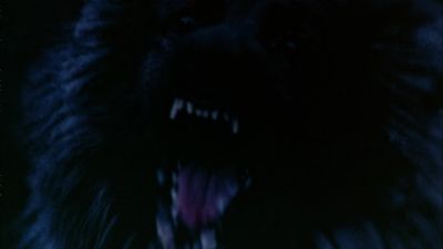 This is the werewolf break - The Beast Must Die