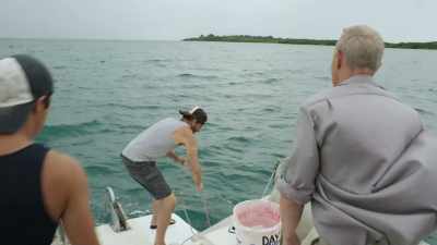 This thing is all the way back.
Yeah. It's quiet. - 5 Headed Shark Attack
