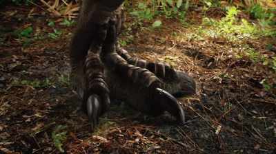 THIS THING HAD CLAWS
THE SIZE OF MY HAND ALMOST, - Dino Hunters
