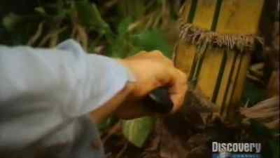 This thing is very hard but I think ...
I can to see it now could - Man vs. Wild