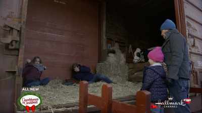This...
This isn't what it looks like. - Cross Country Christmas