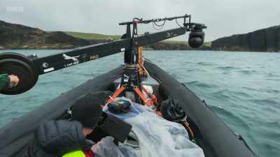 This time, they mounted
the camera on a jib - Wild Isles