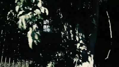 This time, Patricia Krenwinkel,
Linda Kasabian, - 35 Serial Killers the World Wants to Forget
