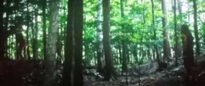 This time, - The Oath