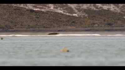 This time, there is over 600 feet
of open water between them, - Our Oceans