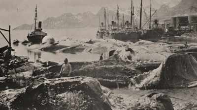 This was to be their first
encounter with the outside
world, - Shackleton: The Greatest Story of Survival