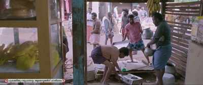 This is too much - Jallikattu