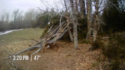 This trap that I've been
working so hard on - Naked and Afraid